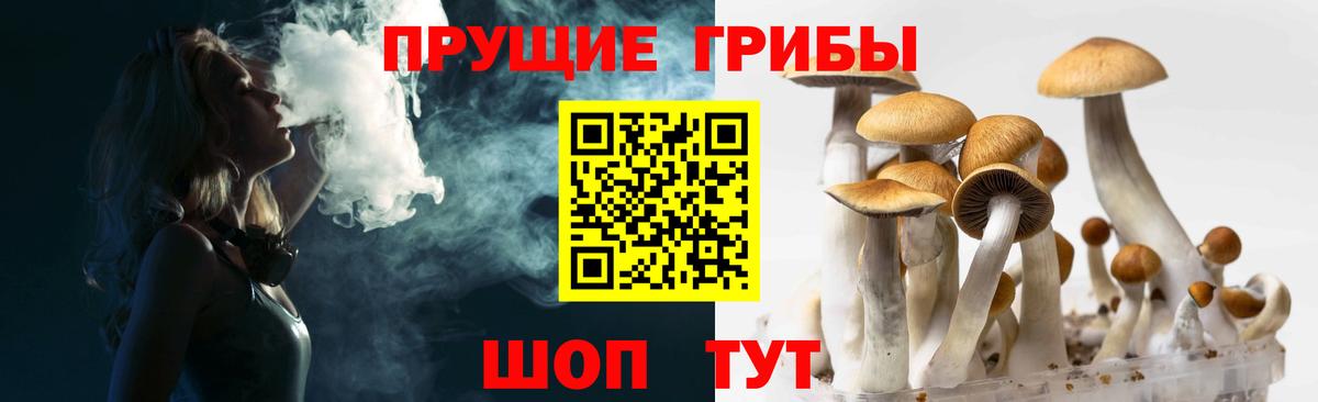 Галлюциногенные грибы мицелий  Вход с VPN  Зеленодольск 